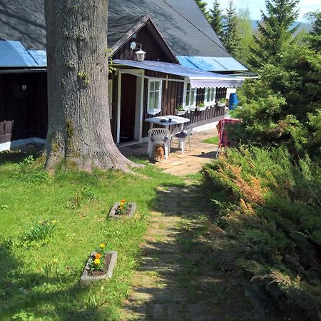 Chata V Srdci Krkonos Villa Kořenov Buitenkant foto